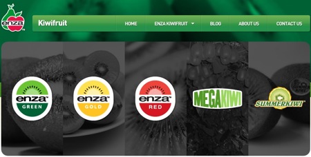 Il nuovo sito di Enza Kiwifruit